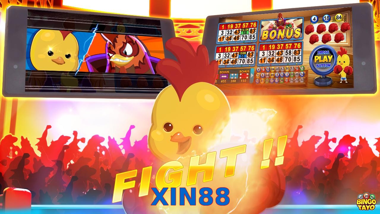 XIN88