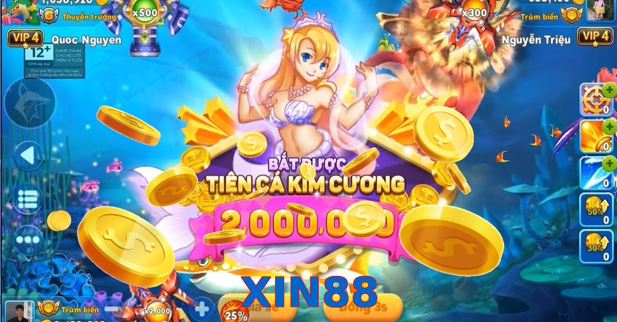 XIN88