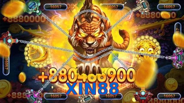 XIN88