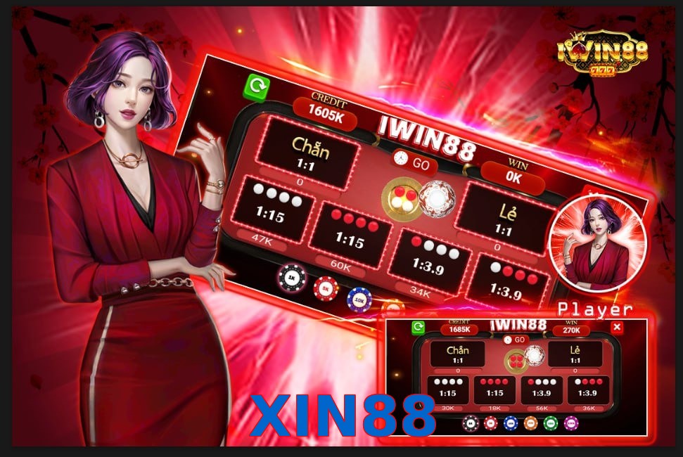XIN88