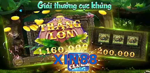 XIN88