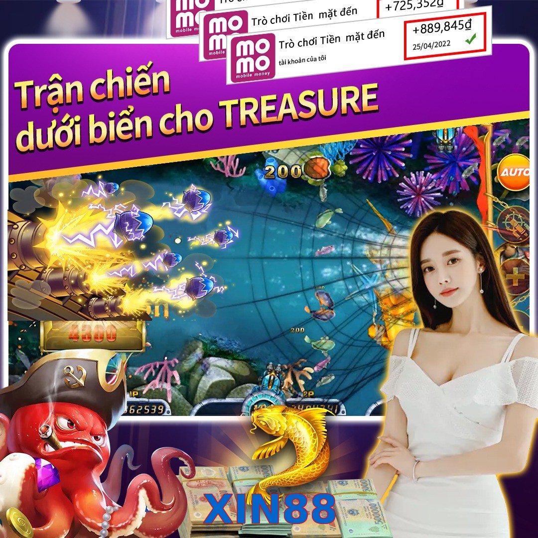 XIN88